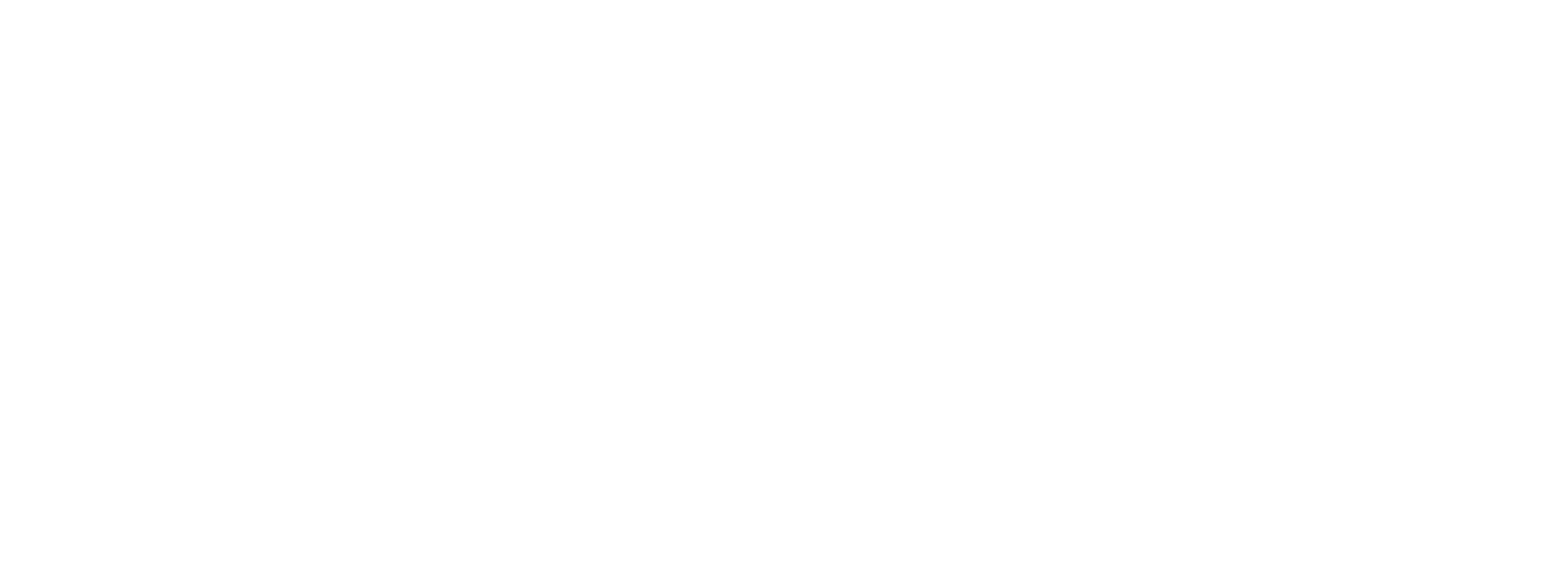 TEXMEX construcciones